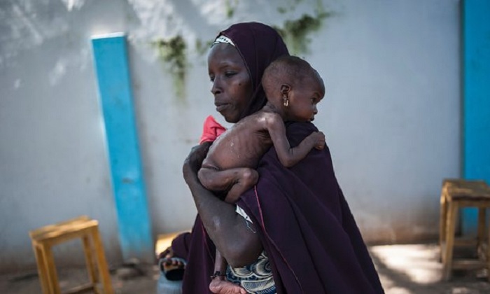 75,000 children in Nigeria could starve to death within months, says UN 